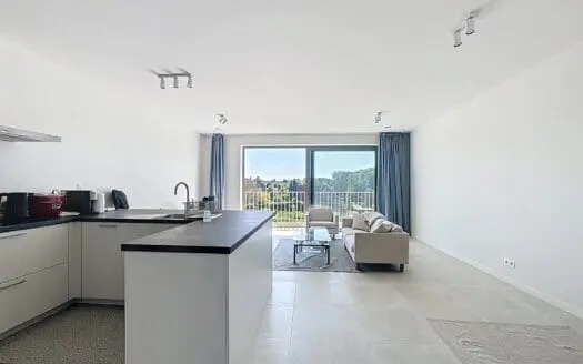 Appartement à louer  2 chambres 90 m², 1350 €