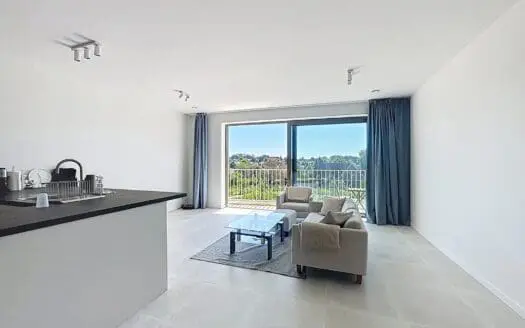 Appartement à louer  2 chambres 90 m², 1350 €