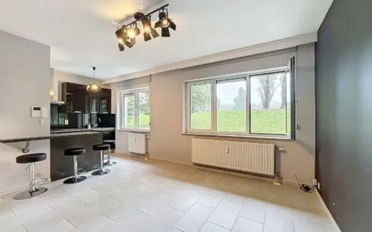 Appartement à louer  31 m², 750 €