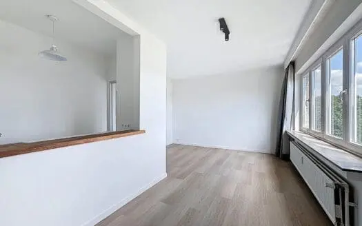 Appartement à louer  36 m², 850 €