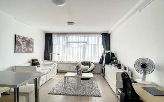 Appartement à louer  37 m², 790 €